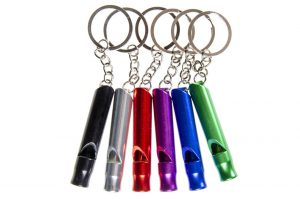 SLEUTELHANGER FLUIT METAAL